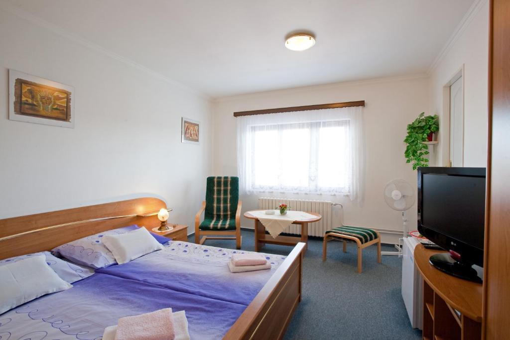 Pension Minor Ceske Budejovice Room photo
