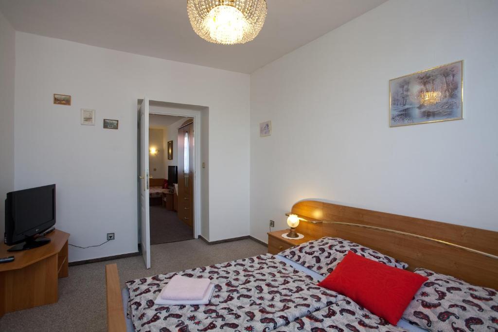 Pension Minor Ceske Budejovice Room photo